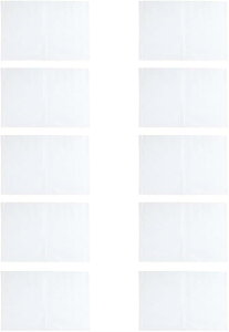 【楽天ランキング1位入賞】チャック付きビニール袋 30cmx40cm 10枚 厚さ0.12mm 釣り用 (透明)