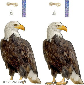  悯 ObY JX悯 悯  JX΍  x_ tNE    h }V ݂艺 (uE, i^CvAjx2)