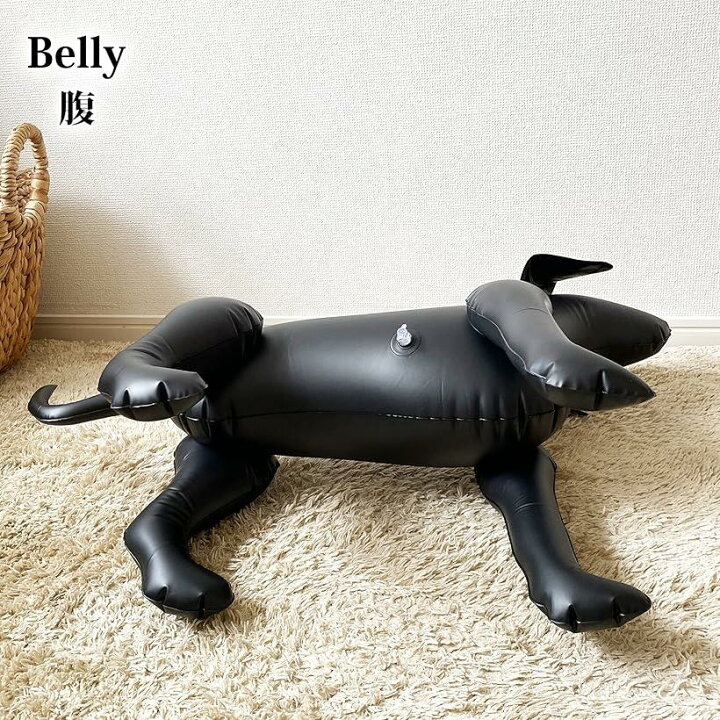 楽天市場 犬 マネキン エアートルソー 空気式 スピード発送 Reapri リアプリ