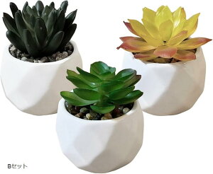 tFCNO[  ~j lHϗtA   CeA  3_Zbg (BZbg, )