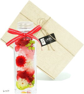 n[oE JUN MtgBOXt ̓ 蕨 a LO v[g  j hV bh (bh)