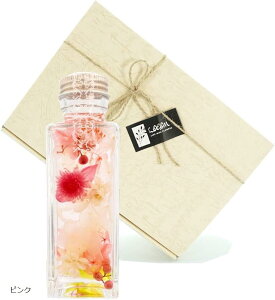 n[oE JUN MtgBOXt ̓ 蕨 a LO v[g  j hV sN (sN)