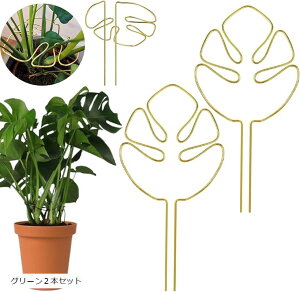 |x Xe ϗtA AT|[g A|h~ Xet[X^h AX^h Ax K[fjOx Kтɂ 2{Zbg (O[2{Zbg)