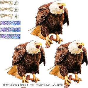 悯 h 悯ObY Q΍ObY ݂艺 悯 JX x_ ʎ ƒ؉  b(Њd^J3ZbgiAzOe[v)