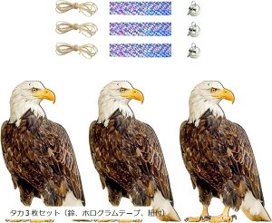 悯 h 悯ObY Q΍ObY ݂艺 悯 JX x_ ʎ ƒ؉  b(^J3ZbgiAzOe[vARtj)