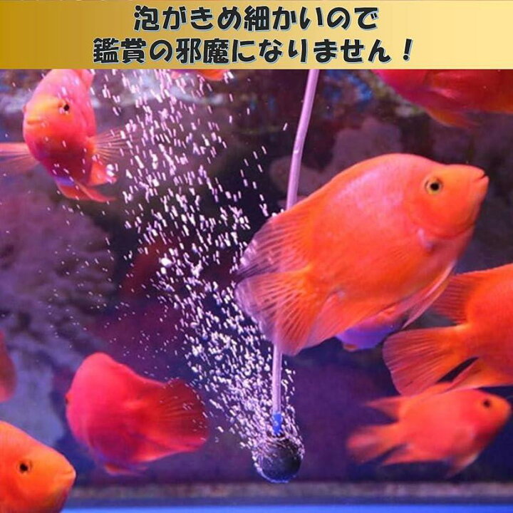 楽天市場 エアーストーン 個セット 直径2cm エアーポンプ 熱帯魚 アクアリウム 酸素 水耕栽培 メダカ 金魚 スピード発送 Reapri リアプリ