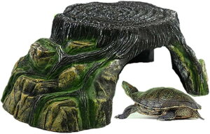 T B ঒ VF^[   n J C NK Ip P[W TCY