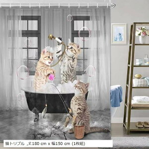 V[J[e h hJr 180 L   jbgoX C  ObY  q ډB Ԏd؂ Ot(Lgv, 180 cm x 150 cm (1g)