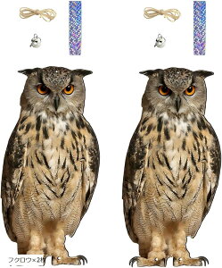  悯 ObY JX悯 悯  JX΍  x_ tNE    h }V ݂艺 (uE, tNEx2)