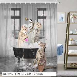 V[J[e h hJr 180 L   jbgoX C  ObY  q ډB Ԏd؂ Ot(Lgv, 180 cm x 90 cm (1g))