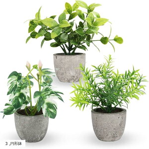 卓上フェイクグリーン 観葉植物 造花 インテリア ミニ 光触媒 置物 おしゃれ fake plant green 緑 水やり不要 ギフト(グリーン, 3個セット)
