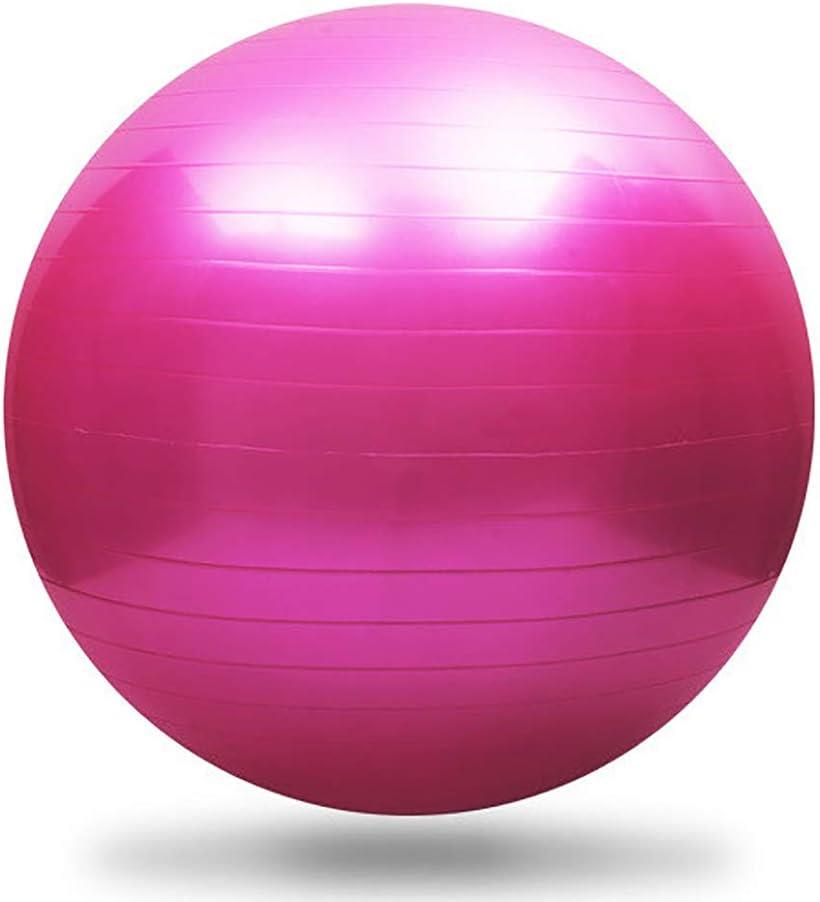 RADISSY バランスボール 公式 フィットネスボール ストレッチボール ヨガ 特価品コーナー☆ 65cm ピラティス ピンク