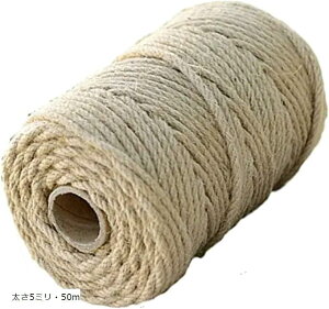 R }N W[g Ђ TCU[v wv 5~E50m (5~E50m)