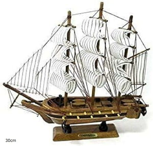 D ͌^  i CD CeA  (30cm)