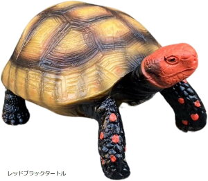 T J NK ^[g u  K[fjO K[f IuWF CeA  I[ig A Mtg((bhubN^[g))