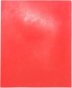 X^vV[g [U[ H S nR DIY nhCh A4 (IW)