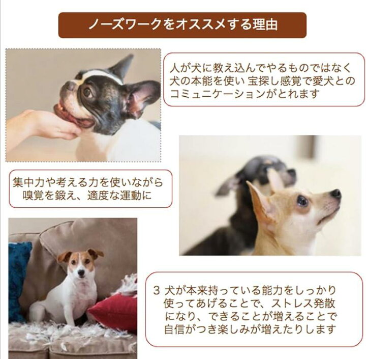 楽天市場 Shaka Labo ノーズワーク 犬 ペット おもちゃ しつけ 嗅覚 訓練 ペット用品 えんどう豆 全長31cm 幅23cm 高さ8cm スピード発送 Reapri リアプリ