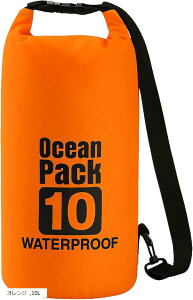 hobO hCobO e V_[Xgbvt X^btobO AEghA }X|[c _CrO C v[ ނ h (IW, 10L)