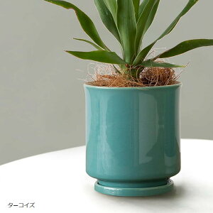 { Aؔ 󂯎Mt 10.5x11.5cm 3.5 4 g(^[RCY, 10.5x11.0cm)