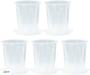 vX`bN Aؔ Xbg ϗtA  A  NA 5Zbg (NA, 12cm)