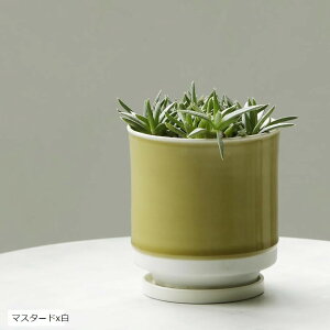 { Aؔ 󂯎Mt 10.5x11.5cm 3.5 g(}X^[hx, 10.5x11.0cm)