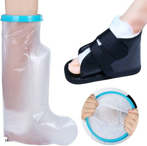 MvX hJo[ MvXV[Y T_  CJo[  C Zbg (ubN, M)