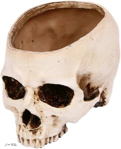 K hN   A W [ KCRc  킢 CeA m[} (m[})