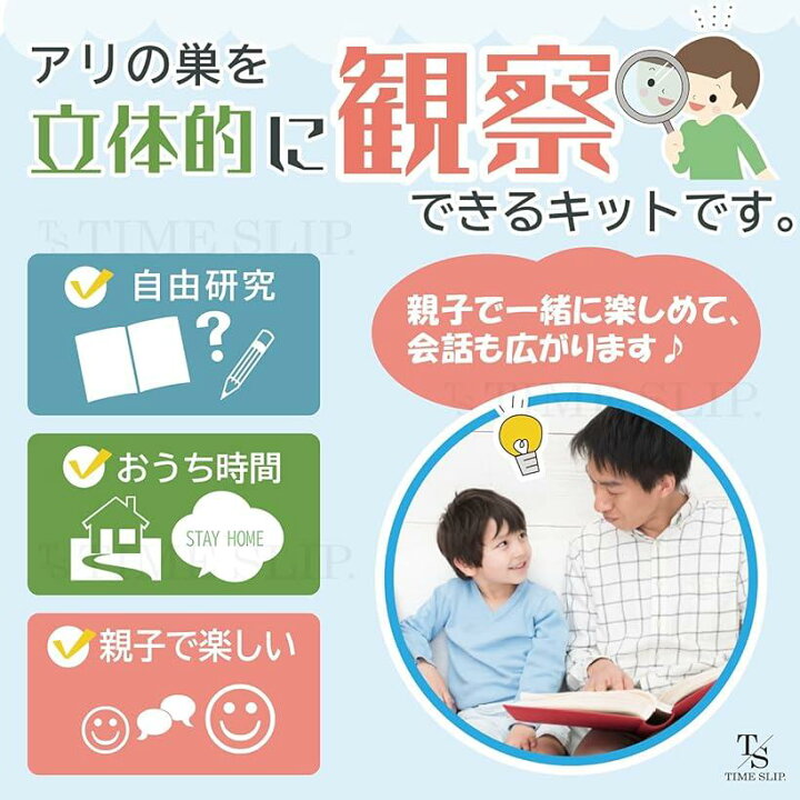 店内全品対象 タイムスリップ アリの巣観察キット 蟻 あり 夏休み 自由研究 工作 飼育 子供 学べる 知育 生物 生き物 日本語説明書付 ブルー Riosmauricio Com 店内全品対象 タイムスリップ アリの巣観察キット 蟻 あり 夏休み 自由研究 工作 飼育 子供 学べる 知育 生物 生き物 日本語説明書付 ブルー Riosmauricio Com