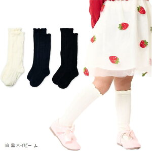 3Zbg Vv nC\bNX LbY xr[ tH[} XN[\bNX ̎q C n \ w w ʊw (  lCr[, L)