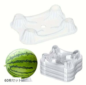 XCJgC XCJ}bg ~m  | ͔| M J{`  󂯎M (NA, 60Zbg)