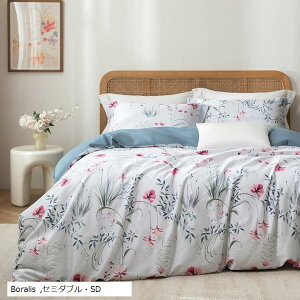 zcJo[Zbg 4_Zbg ʋC 60Ԏ荂xD IWifUC xbhJo[Zbg  Jo[x2 |zcJo[x1 }bgXJo[x1 (Boralis, Z~_uESD)