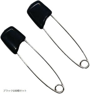 Ss 100Zbg 3F bNs D H|p (ubN100Zbg, TCY)