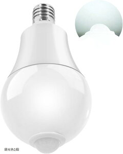 LEDd ZT[Ɛl̃ZT[t E17 nQd80 Wɑ (, F1)