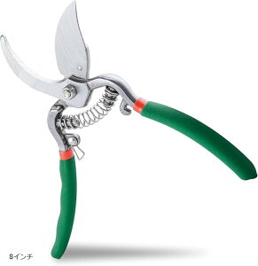 |͂ ΂ nT~ |piCt }؂oT~  ؂ ϗtA 蓮 ~ SbNt ₷}؂͂  ~ |pi (O[, 8C`)