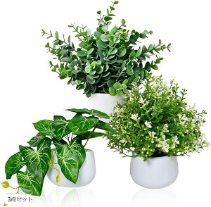 tFCNO[  ϗtA ~j   CeA (3_Zbg)