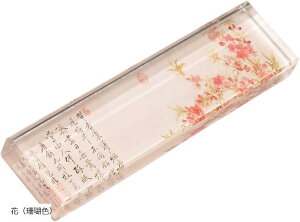  NX^  y[p[EFCg _ [ KX ~ (ԁiXFj)