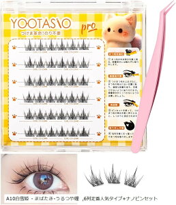 1b}cGN ܂ ̂sv ܂ O[sv ڒܕsv ܂ S ŊȒP ̊   lC ϋv (A10P - ܂΂-⓵, 6Ԑl