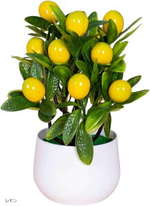 tFCNO[ CeA lHϗtA   ~jTCY sv ʕ ()