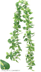 Tierneys tFCNO[ K[h tFCN[t CeA lHϗtA Ǌ| ݂艺  O x_ K[fjO (S[f|gX, 2m jc)