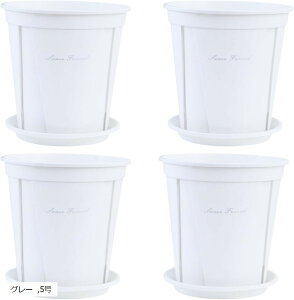 Aؔ Xbg ϗtA vX`bN XbgAؔ Mt 4Zbg (O[, 5)