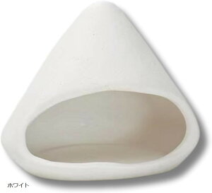 pTgz_[ 󂯎M  F  (zCg)