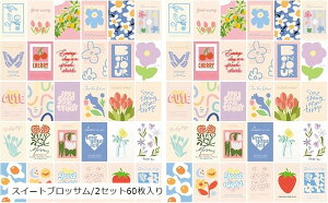 ŉ |XgJ[h 30Zbg ͂TCY k ؍ CO CeA G ~j|X^[ XC[gubT/2Zbg60 (}`J[)