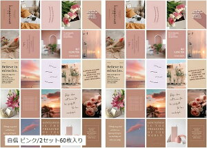 ŉ |XgJ[h 30Zbg ͂TCY k ؍ CO CeA G ~j|X^[ M sN/2Zbg60 (}`J[, tTCY)