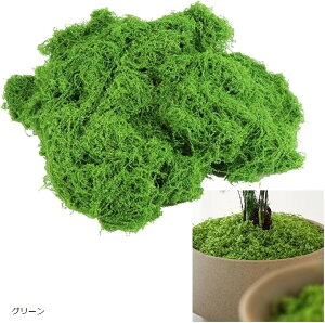 lH tFCNX ϗtA WI} ~  esv ͂Ȃ (O[)