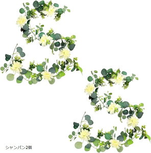 tFCNO[ _A CeA ϗtA  Ǌ| K[h EH[t[ EFfBO [X (Vp2, TCY)