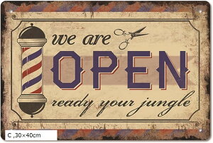 uL Ŕ v[g g K[W AeB[N CeA U ND-0192-R04 (C, 30x40cm)