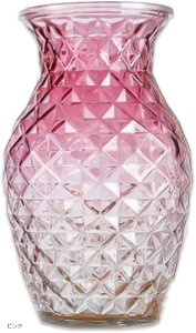 KXԕr Of[V t[x[X k  Vv CeAG (sN, 9.2x19cm)