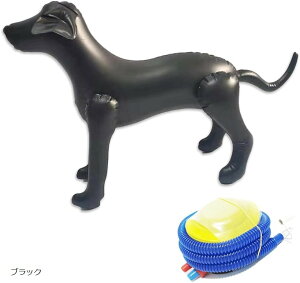 GA[ }lL  ybg g\[ fBXvC W Ct[^u (ubN)