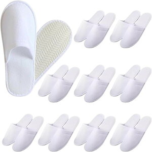 ĝăXbp   qp ze ^ Qϓ s@ g Ɩp e 10Zbg (zCg, 28.0 cm)