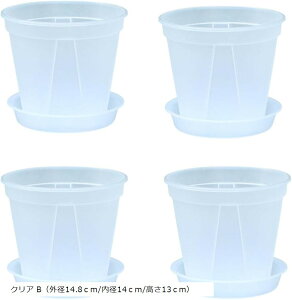 Aؔ I[Lbh|bg Mt rt t[|bg ϗtA XbgAؔ Xbg vX`bN Aؔ | v^[ 4Zbg (NA BiOa14.8c